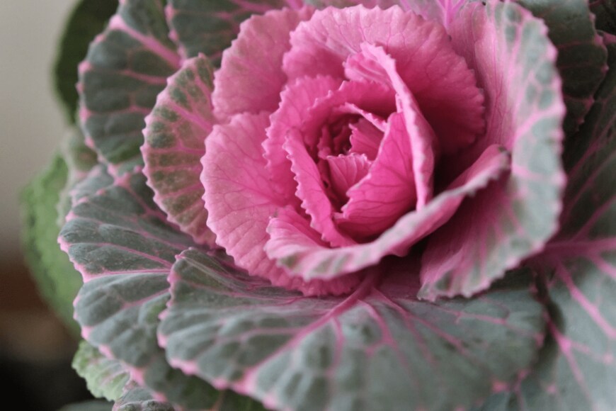 Anwarabee/istockphoto.com