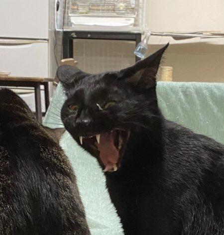 出所：@00shitemita