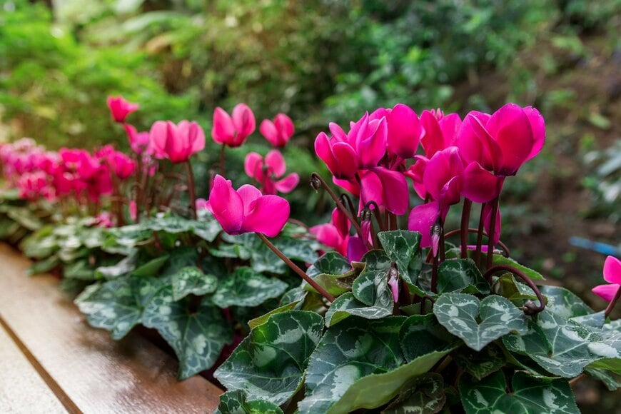 All Around Photo/shutterstock.com