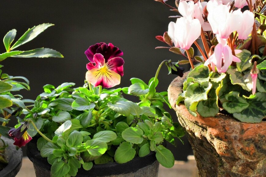 syan/istockphoto.com