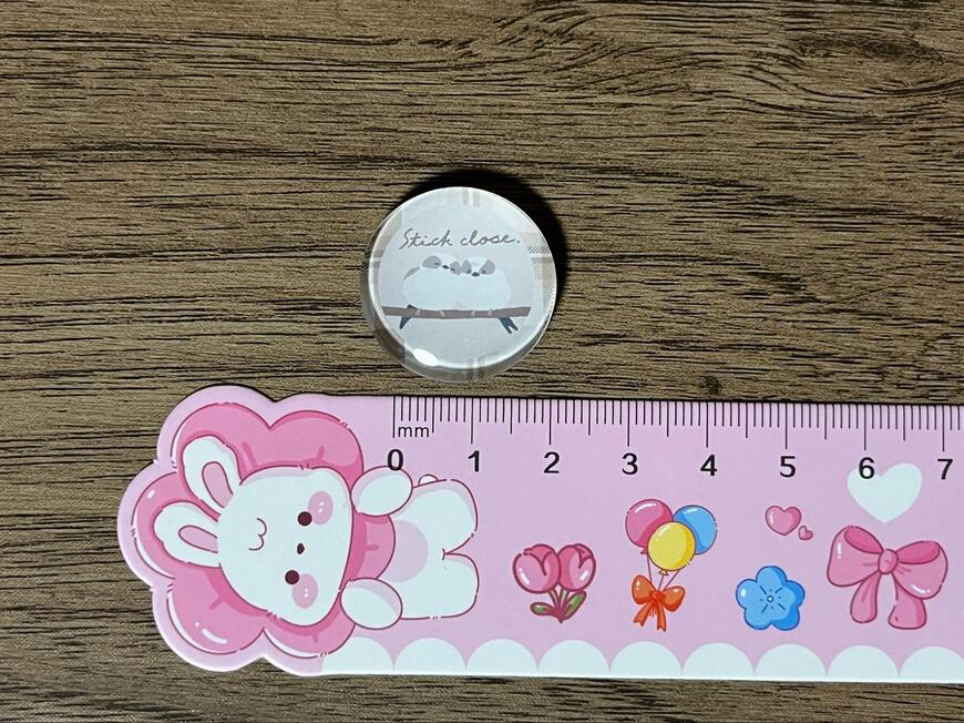 筆者撮影（キャンドゥ、マグネット　３Ｐ　ふんわりシマエナガ）