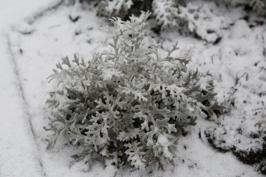 semper-scifi/shutterstock.com