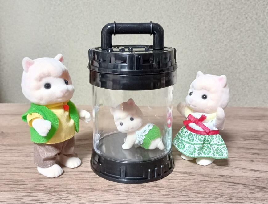 筆者撮影（セリア、ラボポッド型ディスプレイケース）