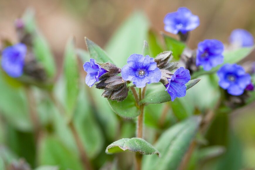 PaulMaguire/istockphoto.com