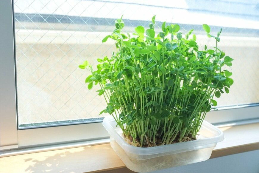 LFO62/shutterstock.com