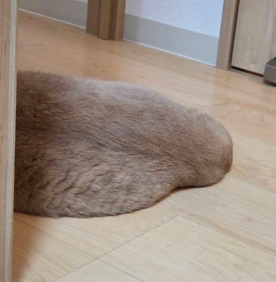 出所：@TsunaIsCat