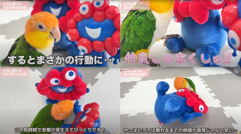 出所：@anz_omomiri