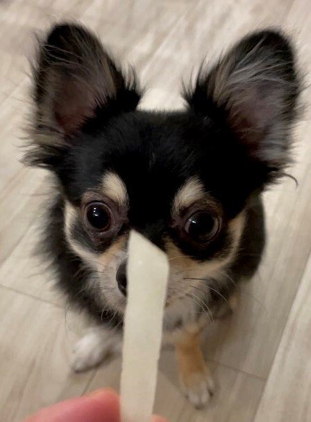 出所：@gomachihuahua