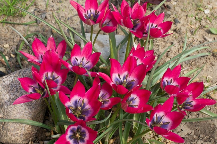 Alesikka/shutterstock.com