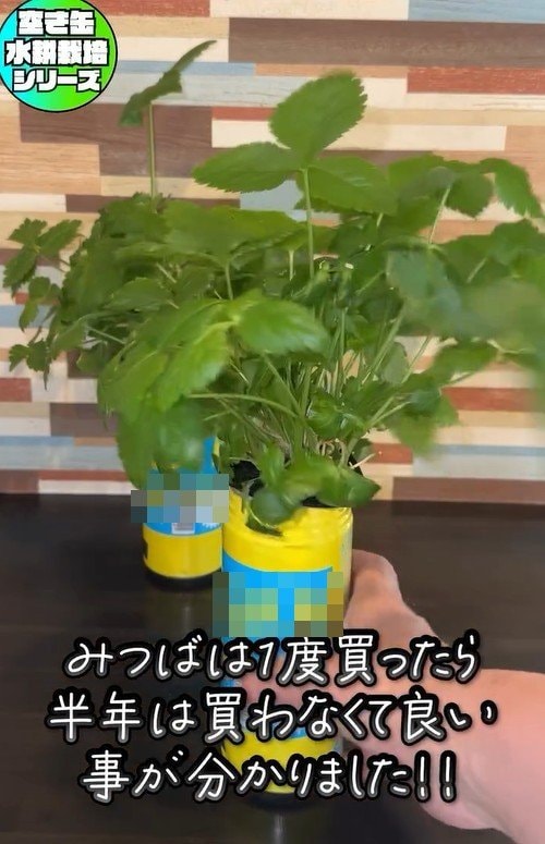 出所：@mikanbo_ya19_87