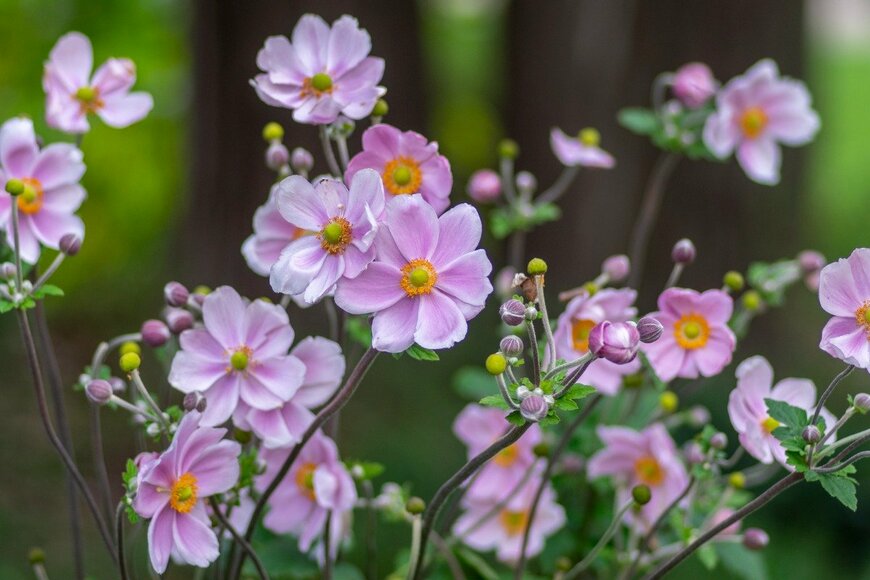 Iva Vagnerova/istockphoto.com