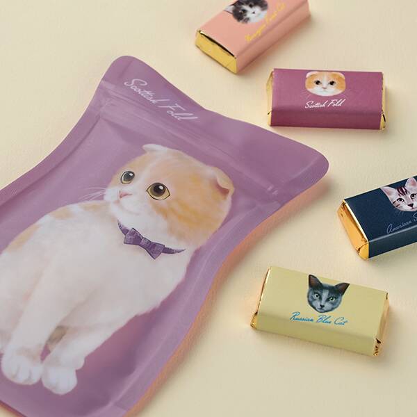 画像出所：カルディコーヒーファーム公式