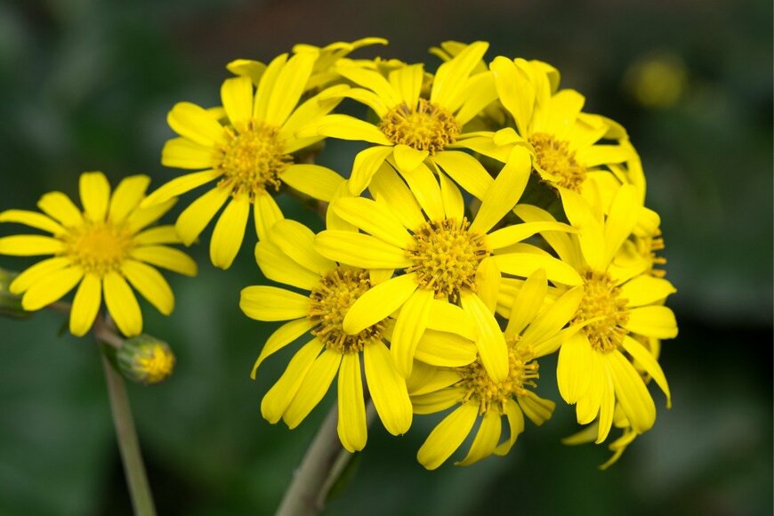 ouchi_iro/istockphoto.com