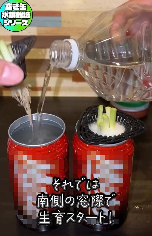 出所：mikanbo_ya19_87