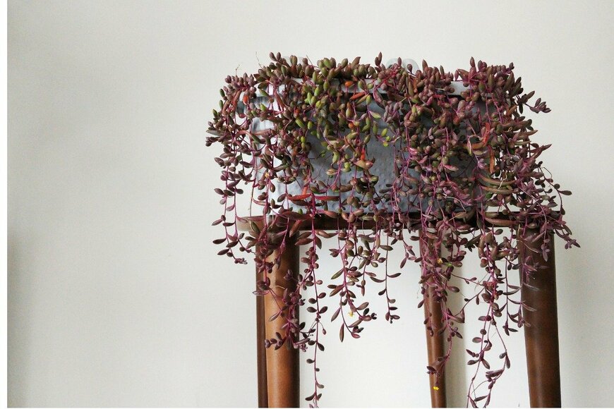 yuqian liu/istockphoto.com