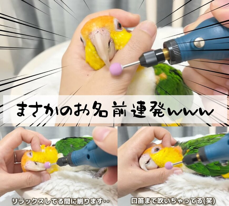 出所：@anz_omomiri