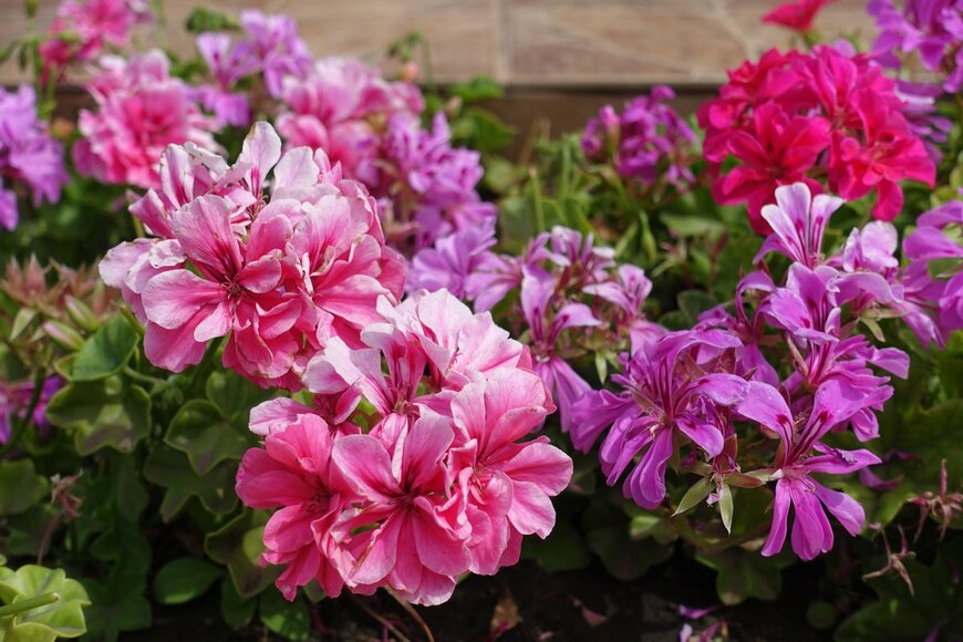 APugach/shutterstock.com