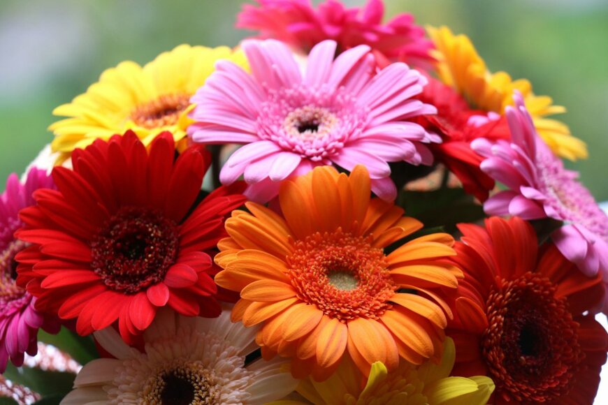 mantigomo/shutterstock.com