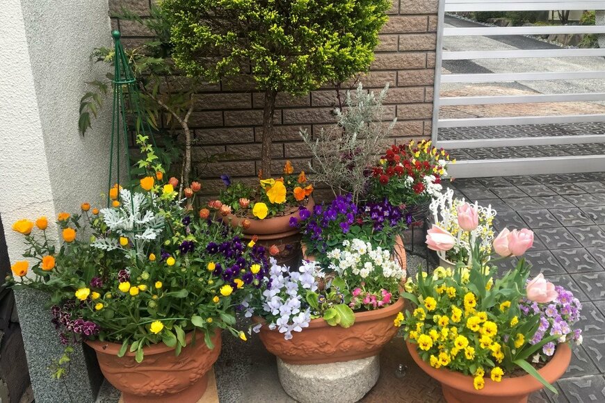 Aleksei Mitrushkin/istockphoto.com