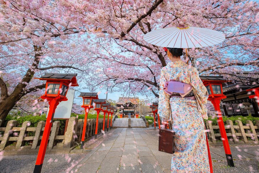 【2024年版お花見】京都在住者がおすすめするお花見の穴場スポット4選！有名スポットに行くときのコツも紹介