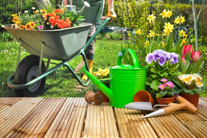 【5月の庭しごと】5月にやっておきたい「草花・樹木・野菜・観葉植物・ハーブ」のお手入れアレコレ＆5月に咲く花5選