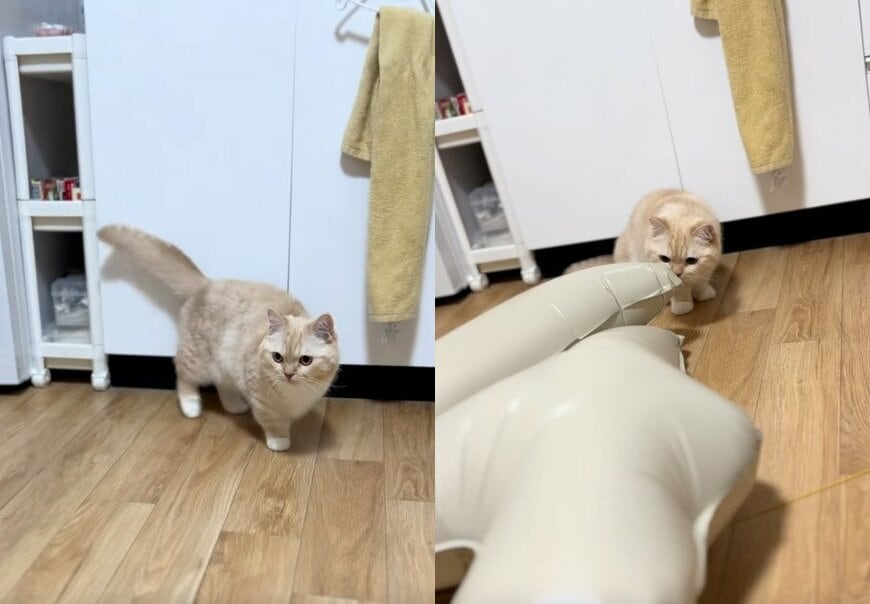 投稿の画像