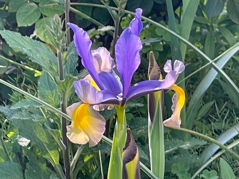 假屋崎省吾のAmeba公式ブログ投稿