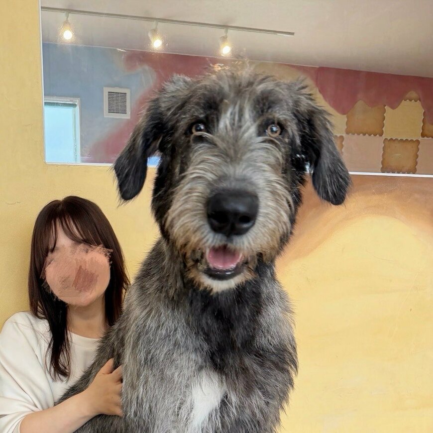 投稿の画像