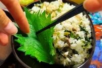 妻が夫に作る【がんばらないお弁当】が少ない材料でも食べ応え十分　混ぜご飯や野菜を詰めた「愛情弁当」が美味しそう