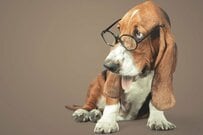 【おひとりさまシニア】ひと月の生活費は約15万円。では「老後の年収」の目安とは