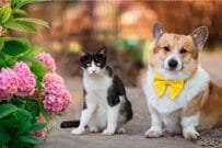 【今日から減額】国民年金と厚生年金「一般家庭」はひと月平均いくら受給しているか。早見表でチェック