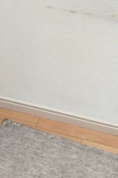 投稿の画像