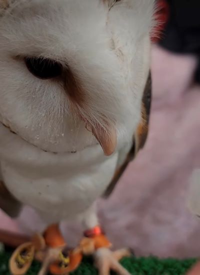 投稿動画のワンシーン