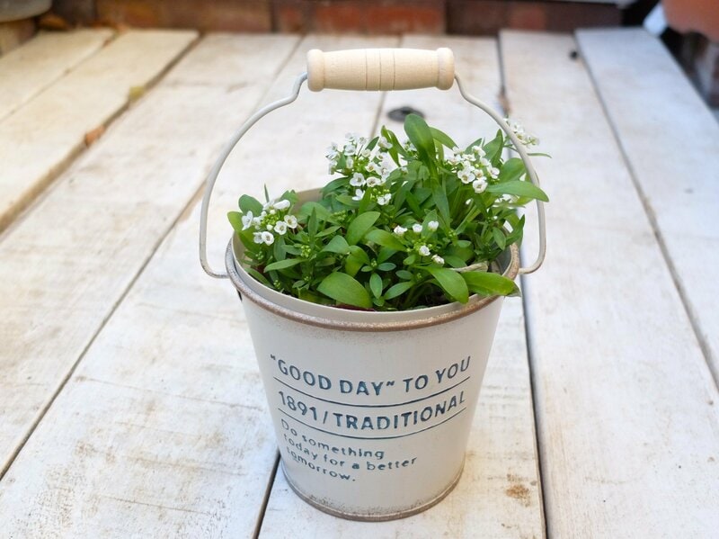 ダイソー、アンティーク調アイアンポット（バケツ型）筆者撮影写真