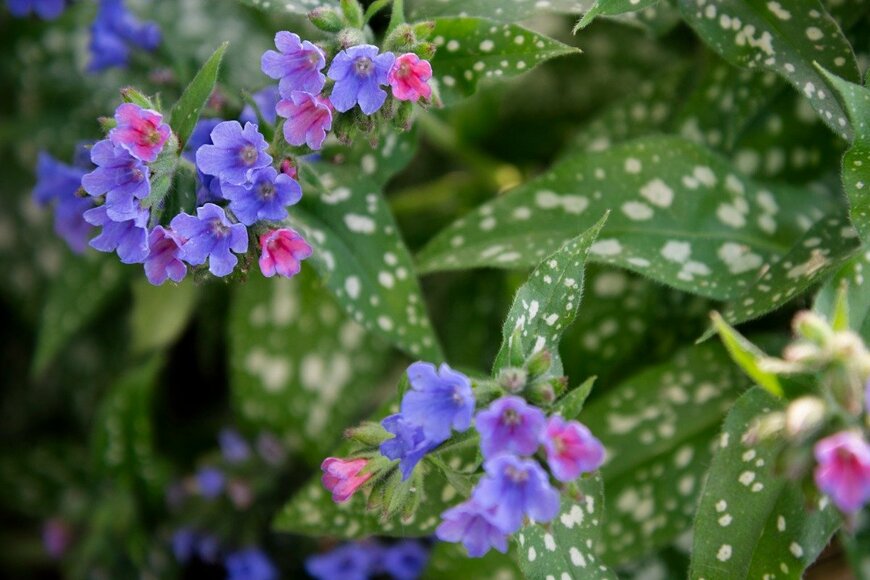 Jessica Kopecky Design/istockphoto.com