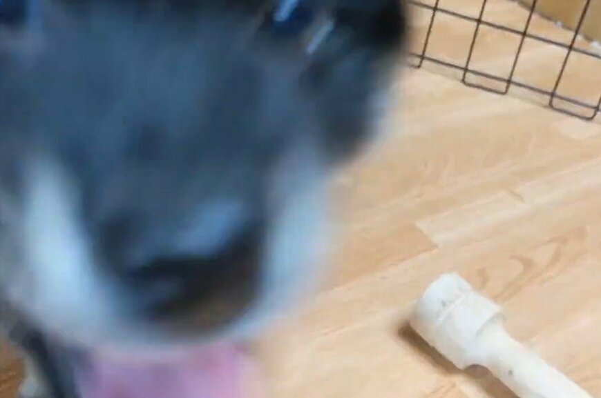 出所：@BLshiba_tensuke