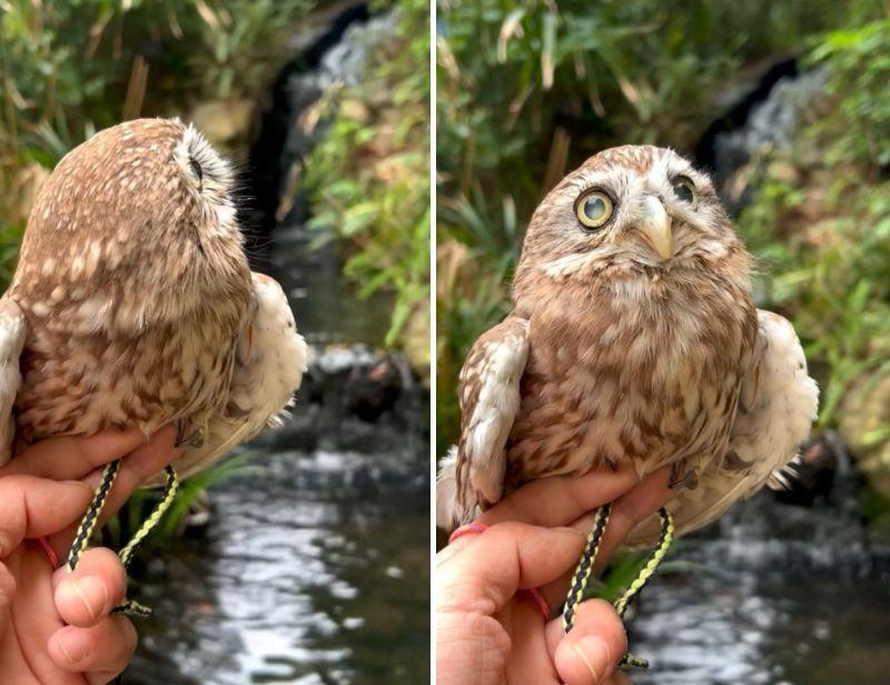 出所：@cr8673.hiro