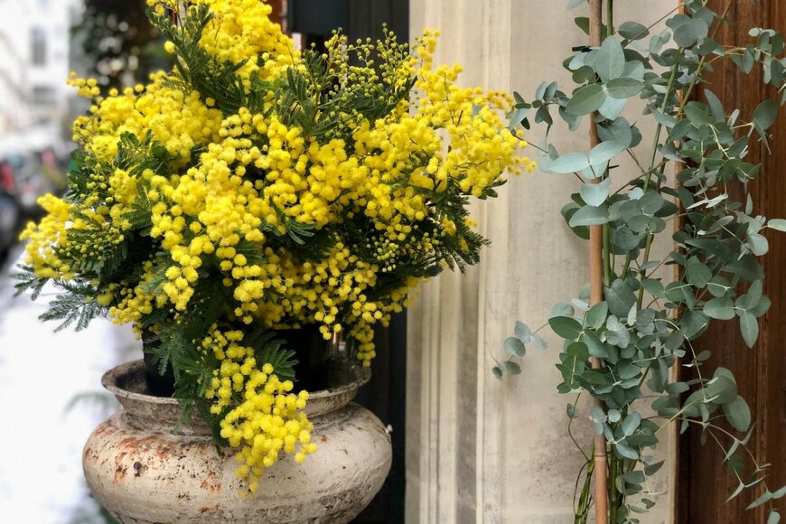 Dina Mukhutdinova/shutterstock.com