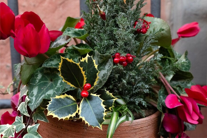 Ekaterina Krat/istockphoto.com