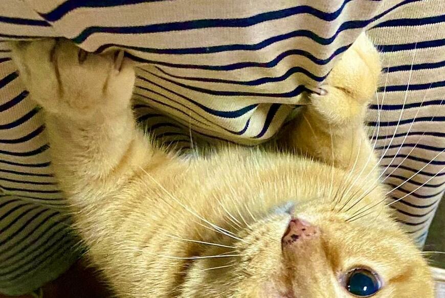 出所：@luna7taka9