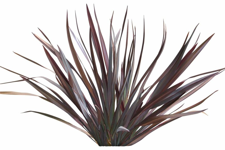 dtinyphoto/shutterstock,com