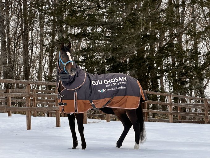 出所：Yogiboヴェルサイユリゾートファーム