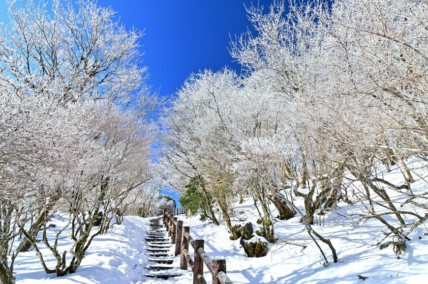 hayakato/shutterstock.com