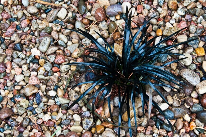 AHatmaker/Shutterstock.com