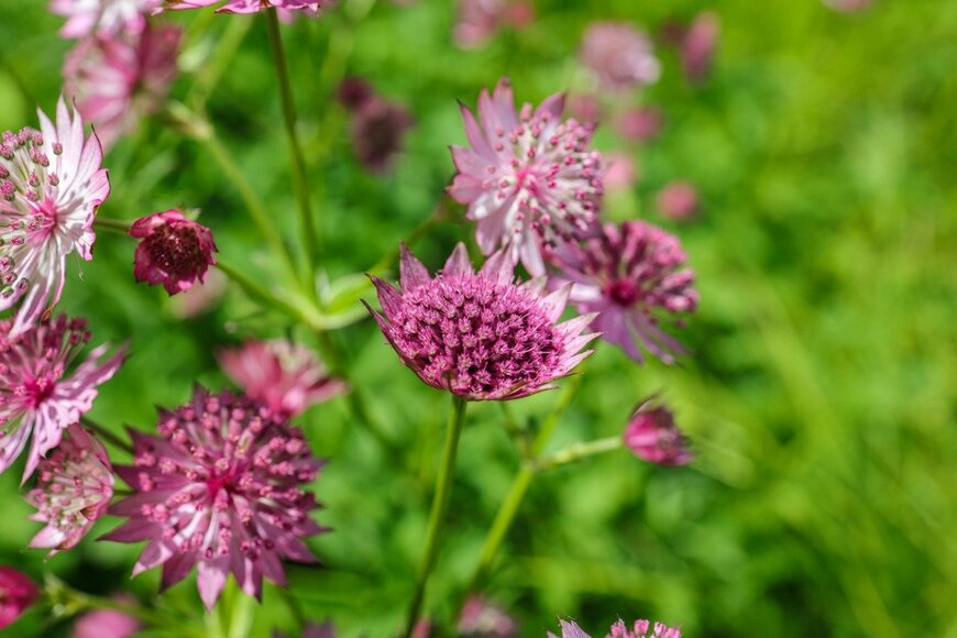 yujie chen/istockphoto.com