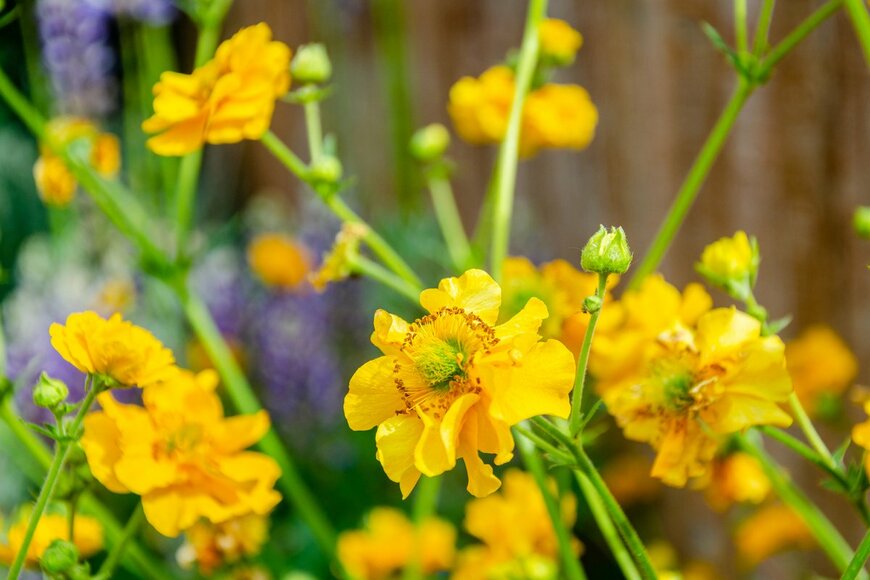 Matthew Ashmore/Shutterstock.com