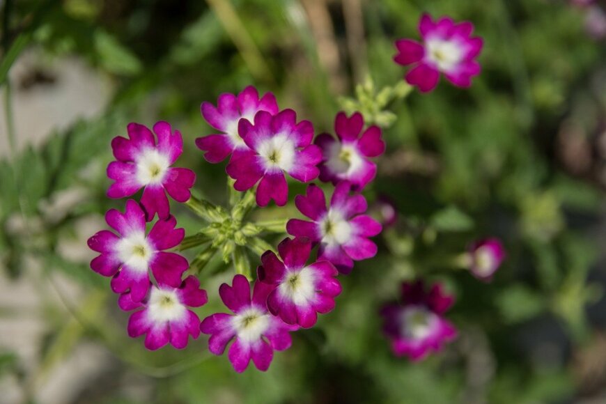 kb79/istockphoto.com