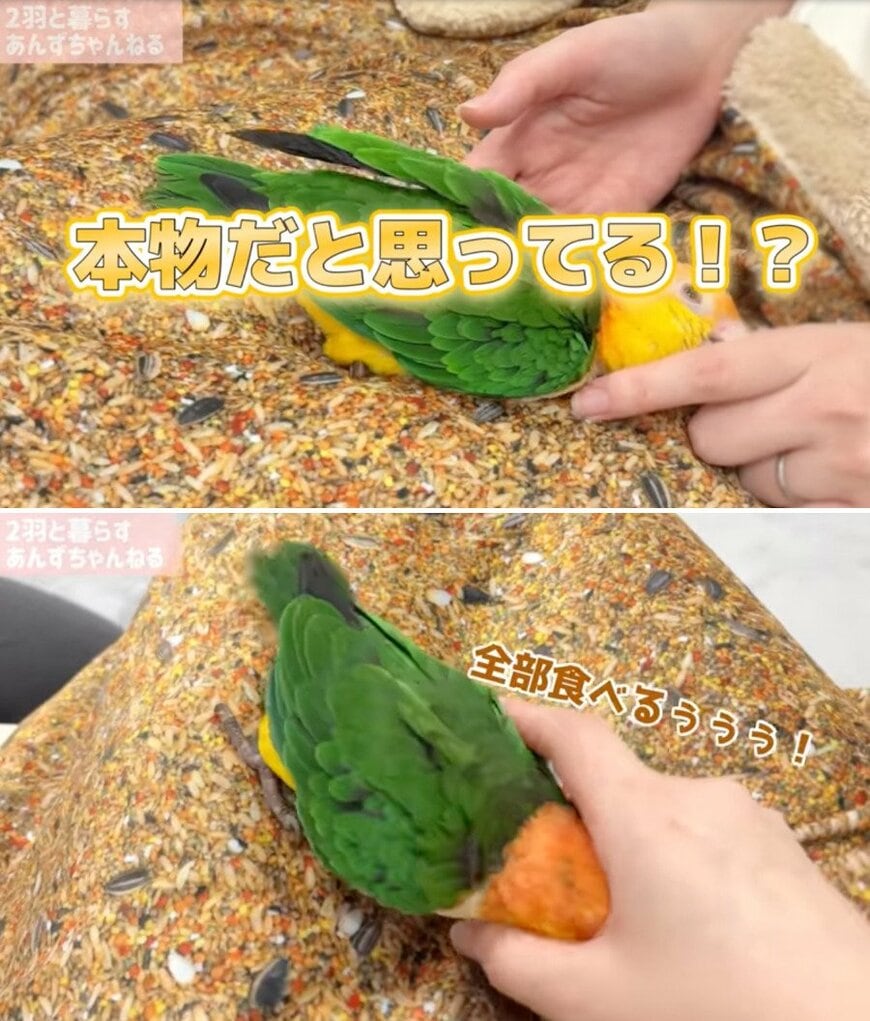 出所：@anz_omomiri