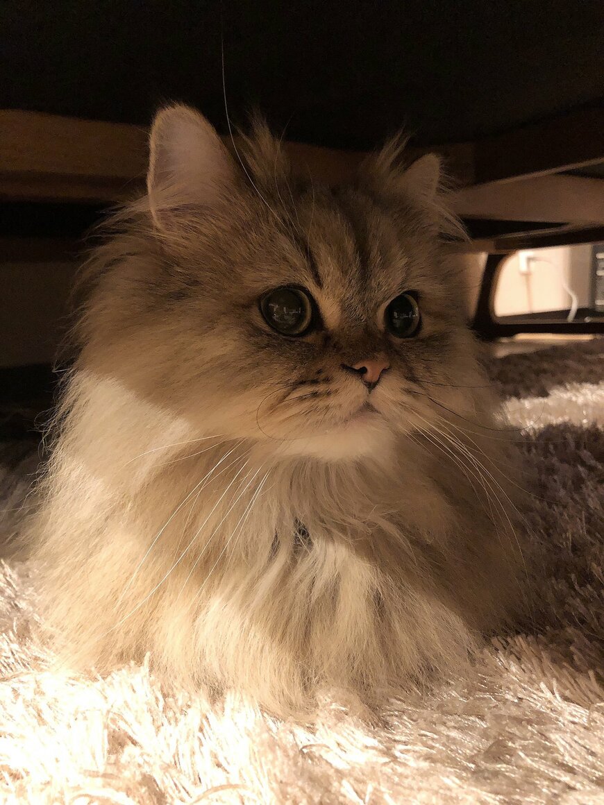 出所：@UphQepCv8J