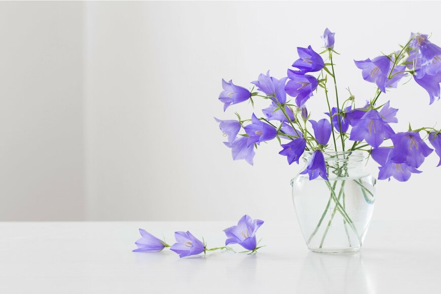 Maya Kruchankova/Shutterstock.com